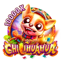 Facai : CHILIHUAHUA - SPINBET123
