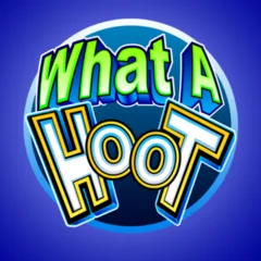 What A Hoot - SPINBET123